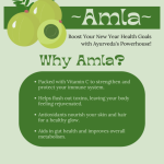 Amla Powder