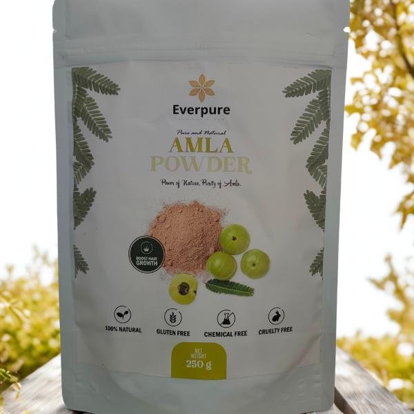 Amla Powder